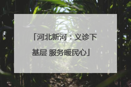 河北新河：义诊下基层 服务暖民心