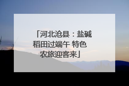 河北沧县：盐碱稻田过端午 特色农旅迎客来