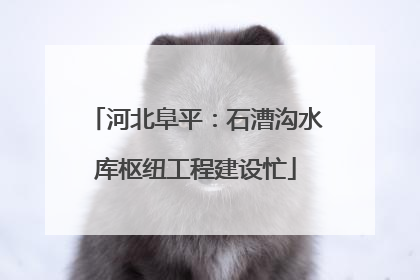 河北阜平：石漕沟水库枢纽工程建设忙