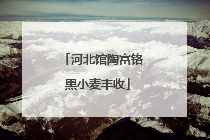 河北馆陶富铬黑小麦丰收
