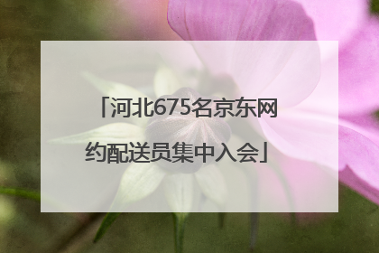 河北675名京东网约配送员集中入会