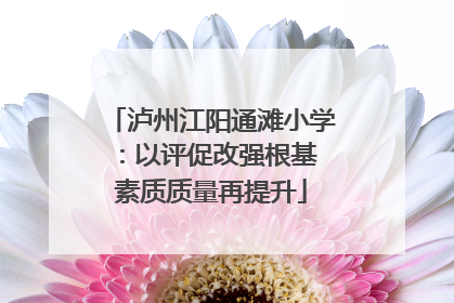 泸州江阳通滩小学：以评促改强根基 素质质量再提升