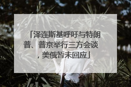 泽连斯基呼吁与特朗普、普京举行三方会谈，美俄暂未回应
