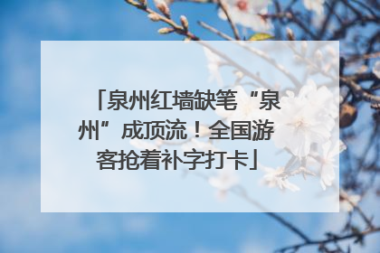 泉州红墙缺笔“泉州”成顶流！全国游客抢着补字打卡