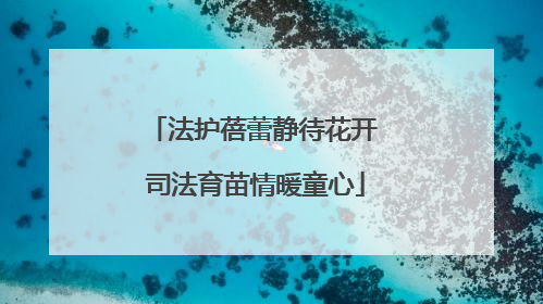 法护蓓蕾静待花开 司法育苗情暖童心