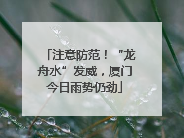 注意防范！“龙舟水”发威，厦门今日雨势仍劲