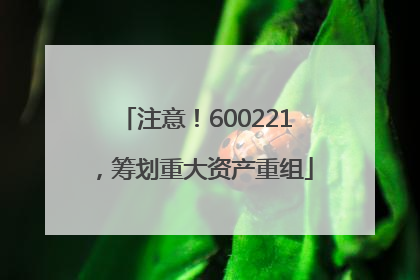 注意！600221，筹划重大资产重组