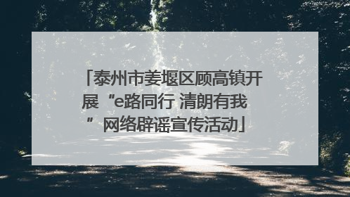 泰州市姜堰区顾高镇开展“e路同行 清朗有我”网络辟谣宣传活动