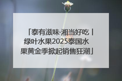 泰有滋味·湘当好吃丨绿叶水果2025泰国水果黄金季掀起销售狂潮