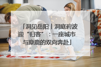 洞见岳阳丨洞庭碧波迎“归客”：一座城市与麋鹿的双向奔赴