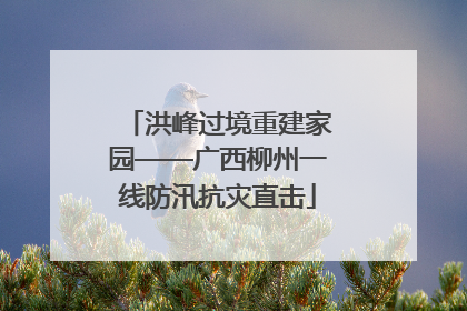 洪峰过境重建家园——广西柳州一线防汛抗灾直击
