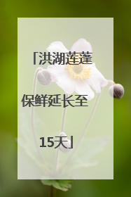 洪湖莲蓬保鲜延长至15天