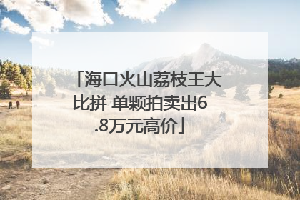 海口火山荔枝王大比拼 单颗拍卖出6.8万元高价