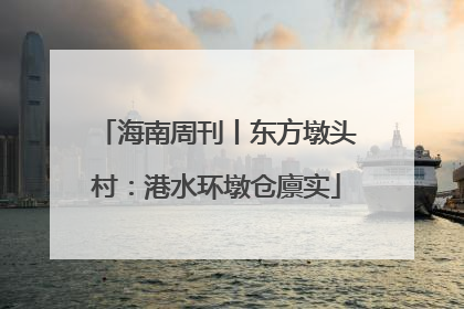 海南周刊丨东方墩头村：港水环墩仓廪实