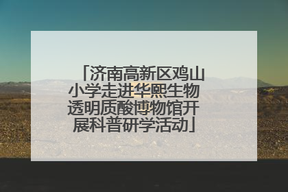 济南高新区鸡山小学走进华熙生物透明质酸博物馆开展科普研学活动