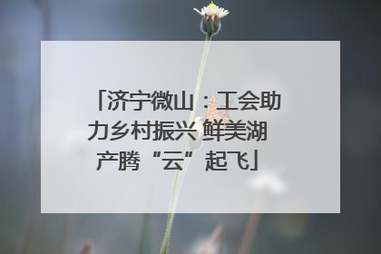 济宁微山：工会助力乡村振兴 鲜美湖产腾“云”起飞