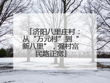 济阳八里庄村：从“万元村”到“新八里”，强村富民路正宽