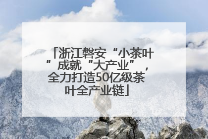 浙江磐安“小茶叶”成就“大产业”，全力打造50亿级茶叶全产业链