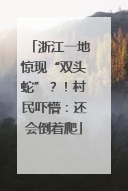 浙江一地惊现“双头蛇”？！村民吓懵：还会倒着爬