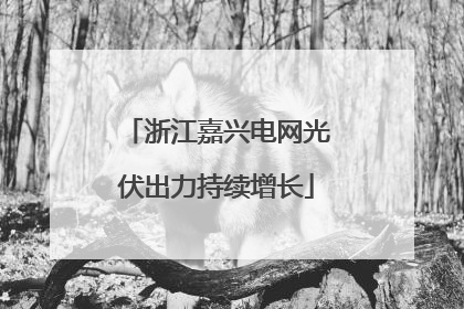 浙江嘉兴电网光伏出力持续增长