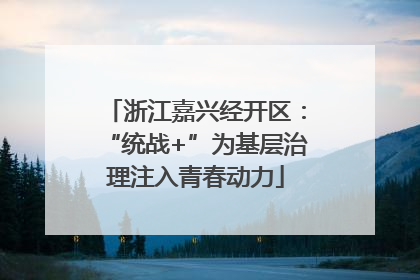 浙江嘉兴经开区：“统战+”为基层治理注入青春动力