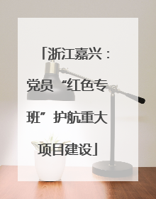 浙江嘉兴：党员“红色专班”护航重大项目建设