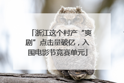 浙江这个村产“爽剧”点击量破亿，入围电影节竞赛单元