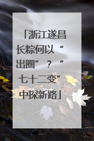 浙江遂昌长粽何以“出圈”？“七十二变”中探新路