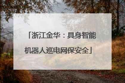 浙江金华：具身智能机器人巡电网保安全