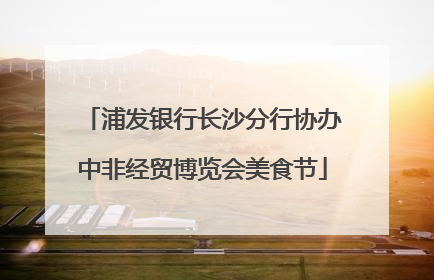浦发银行长沙分行协办中非经贸博览会美食节