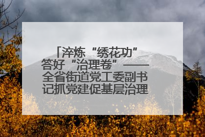 淬炼“绣花功” 答好“治理卷”——全省街道党工委副书记抓党建促基层治理培训示范班侧记