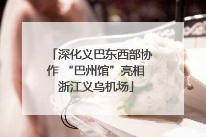 深化义巴东西部协作 “巴州馆”亮相浙江义乌机场