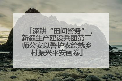 深耕“田间警务”，新疆生产建设兵团第二师公安以警护农绘就乡村振兴平安画卷