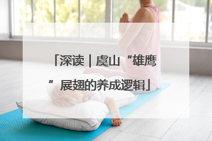 深读｜虞山“雄鹰”展翅的养成逻辑