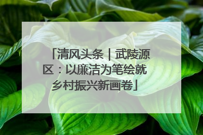 清风头条｜武陵源区：以廉洁为笔绘就乡村振兴新画卷