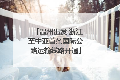 温州出发 浙江至中亚首条国际公路运输线路开通