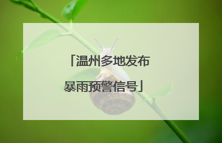 温州多地发布暴雨预警信号