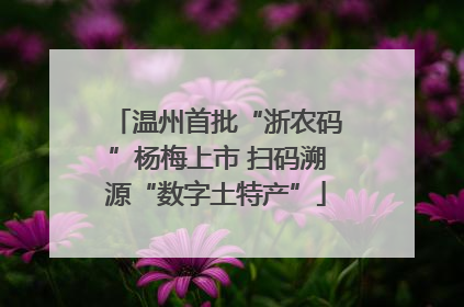 温州首批“浙农码”杨梅上市 扫码溯源“数字土特产”