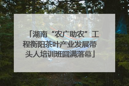 湖南“农广助农”工程衡阳茶叶产业发展带头人培训班圆满落幕