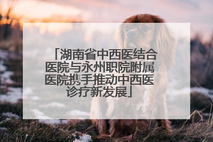 湖南省中西医结合医院与永州职院附属医院携手推动中西医诊疗新发展