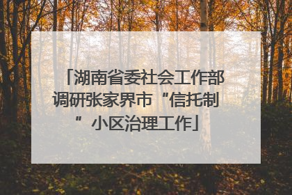湖南省委社会工作部调研张家界市“信托制”小区治理工作