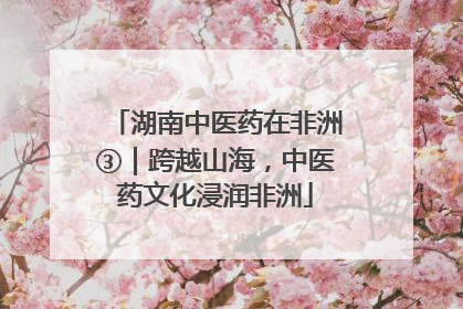 湖南中医药在非洲③｜跨越山海，中医药文化浸润非洲