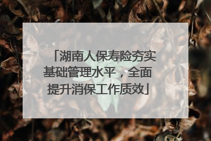 湖南人保寿险夯实基础管理水平，全面提升消保工作质效