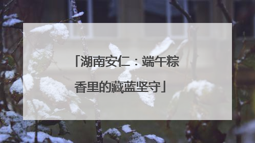 湖南安仁：端午粽香里的藏蓝坚守