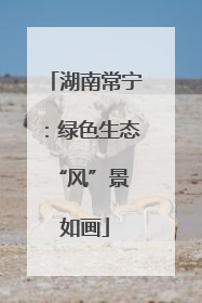 湖南常宁：绿色生态 “风”景如画