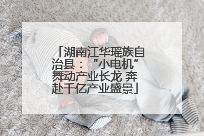 湖南江华瑶族自治县：“小电机”舞动产业长龙 奔赴千亿产业盛景