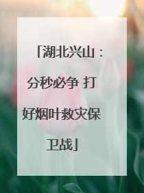 湖北兴山：分秒必争 打好烟叶救灾保卫战