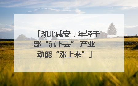 湖北咸安：年轻干部“沉下去” 产业动能“涨上来”