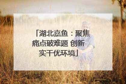 湖北嘉鱼：聚焦痛点破难题 创新实干优环境