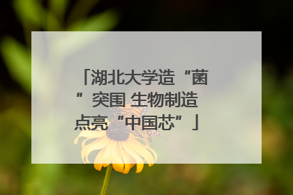 湖北大学造“菌”突围 生物制造点亮“中国芯”